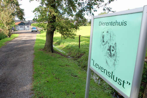 Dierentehuis Levenslust aan de Schoonengweg in Voorthuizen. Dierentehuis Levenslust aan de Schoonengweg in Voorthuizen.
